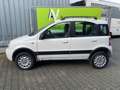 Fiat Panda 1.3 JTD Climbing 4X4, 1. Hd.,5-türig, BT Weiß - thumbnail 6