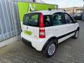 Fiat Panda 1.3 JTD Climbing 4X4, 1. Hd.,5-türig, BT Weiß - thumbnail 3