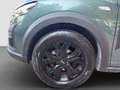Dacia Sandero Stepway 1.0 tce Extreme Up Eco-g 100cv Verde - thumbnail 10