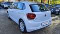 Volkswagen Polo 5p 1.0 Km. 12000 Grigio - thumbnail 3