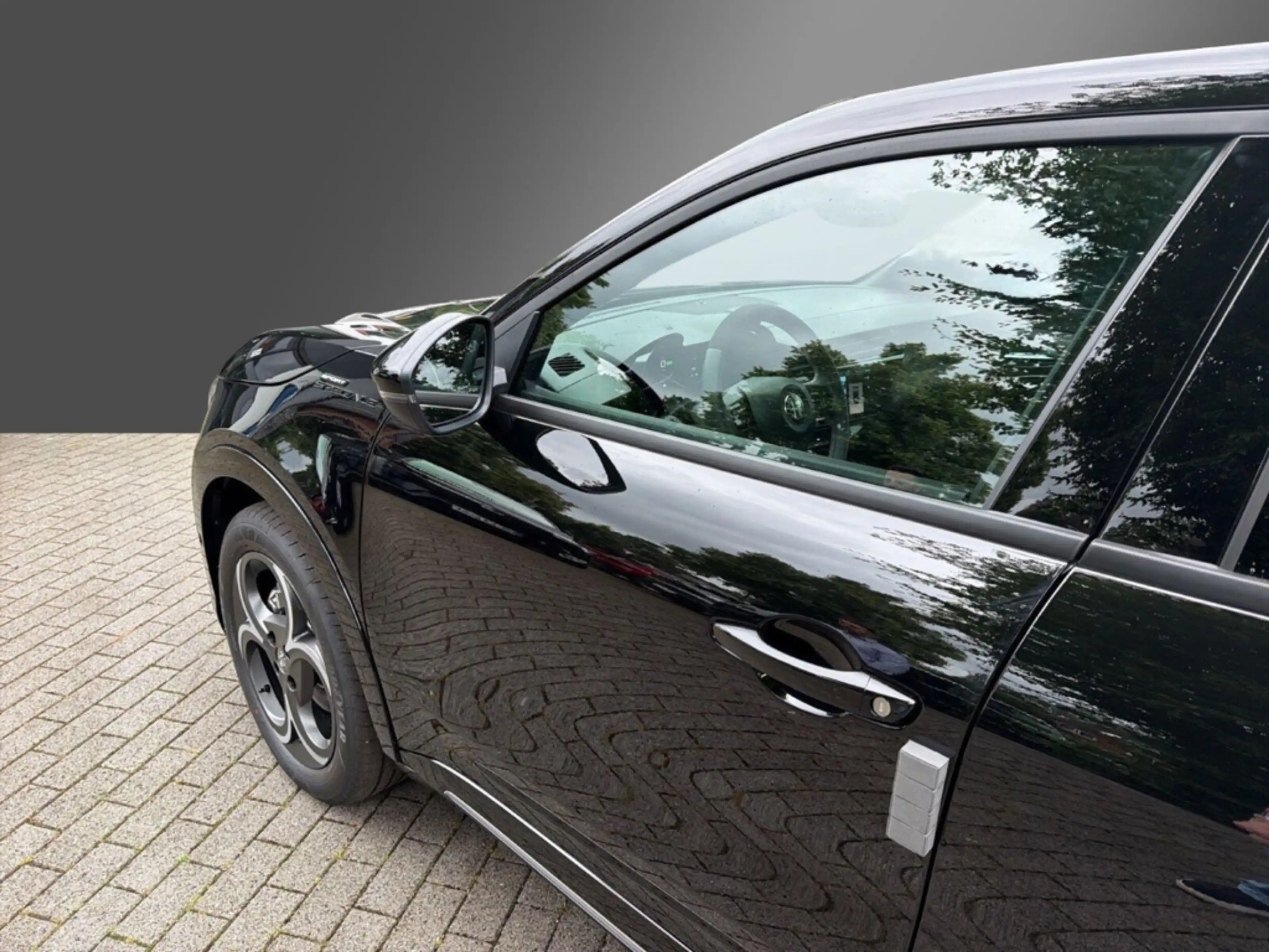 Alfa Romeo Junior Elettrica Sport Speciale -Panorama-Wärmepumpe — photo 11