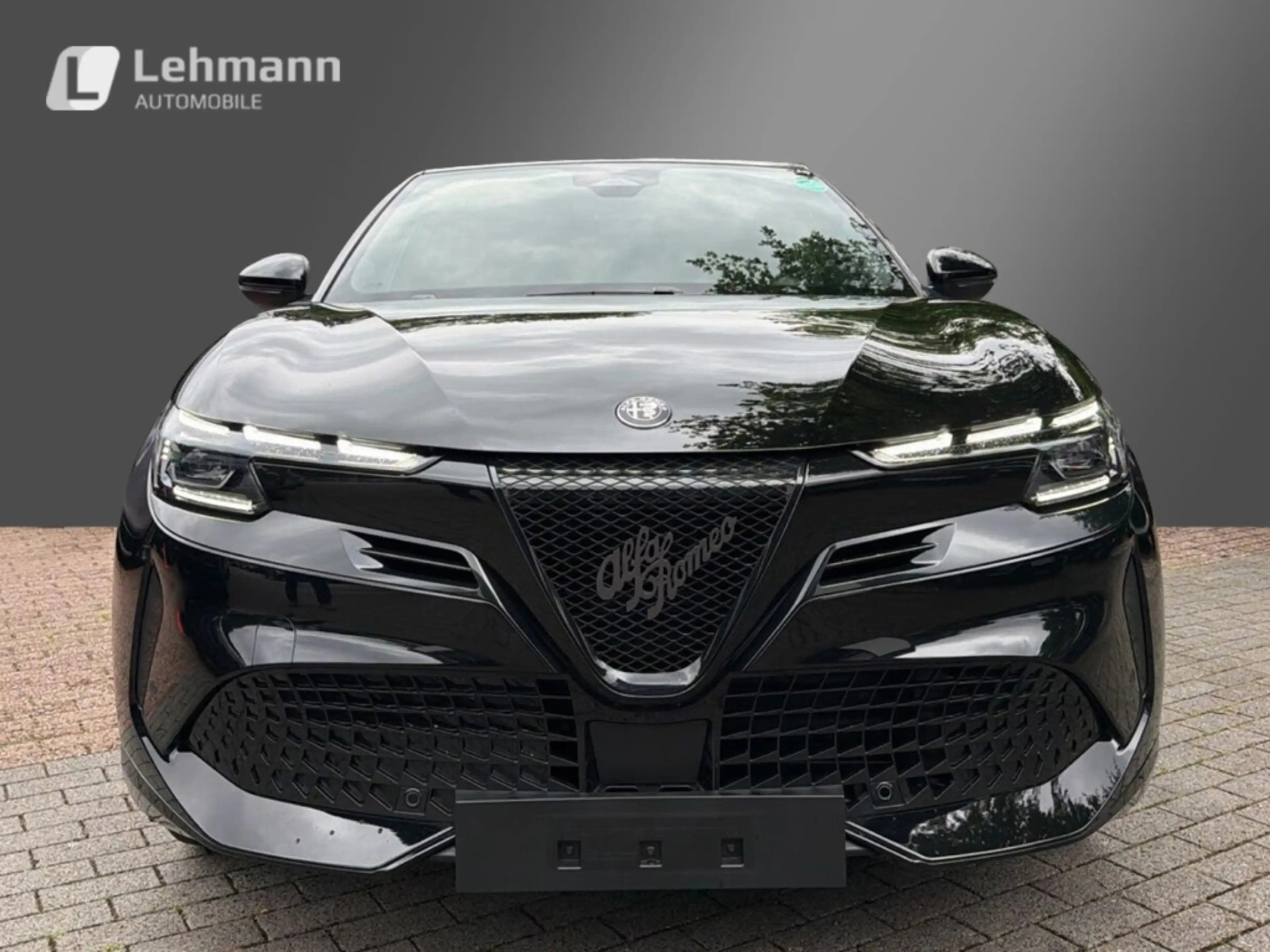 Alfa Romeo Junior Elettrica Sport Speciale -Panorama-Wärmepumpe — photo 2