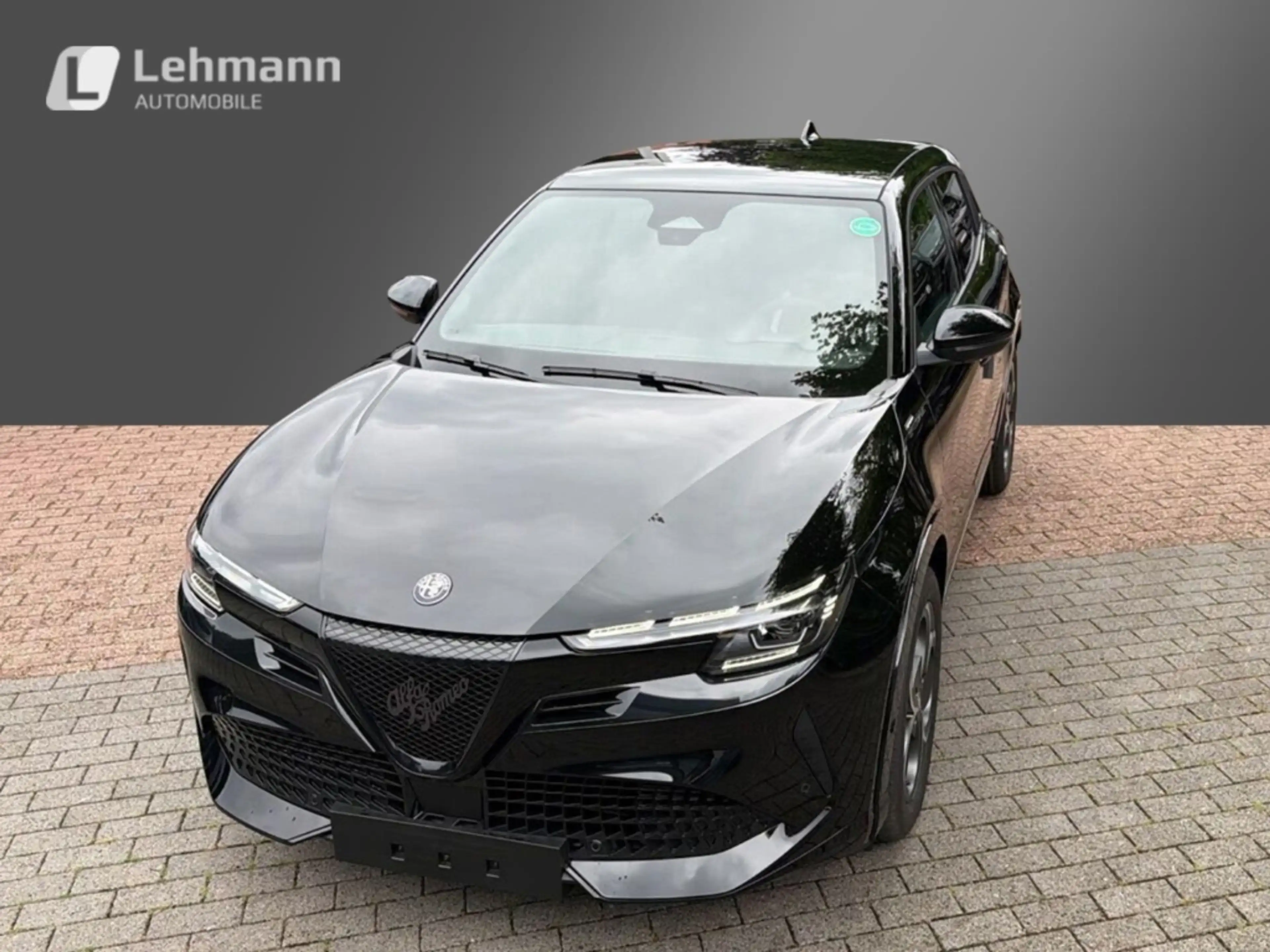 Alfa Romeo Junior Elettrica Sport Speciale -Panorama-Wärmepumpe — photo 10