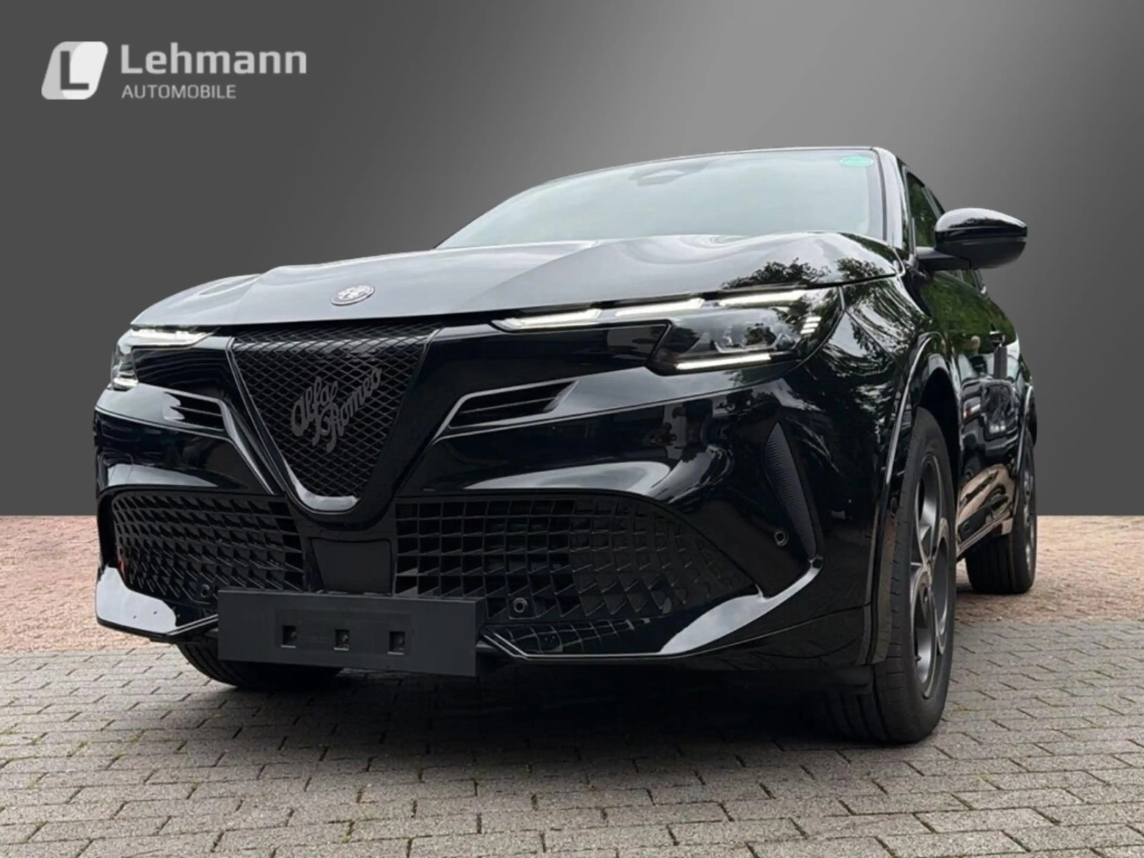 Alfa Romeo Junior Elettrica Sport Speciale -Panorama-Wärmepumpe — photo 9