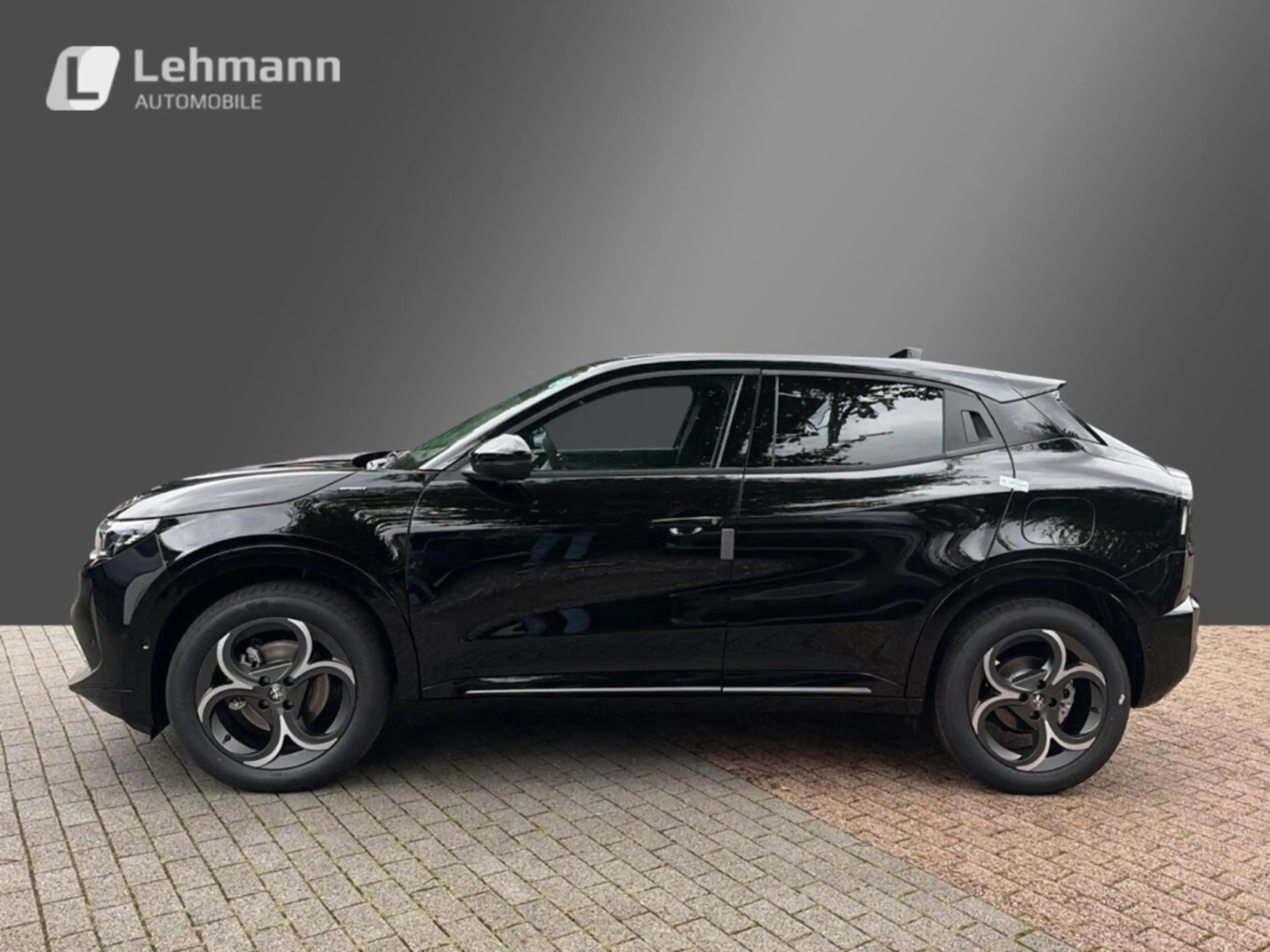 Alfa Romeo Junior Elettrica Sport Speciale -Panorama-Wärmepumpe — photo 3