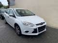 Ford Focus Ambiente | 2.Hand | Klima | MOTORSCHADEN Blanc - thumbnail 3