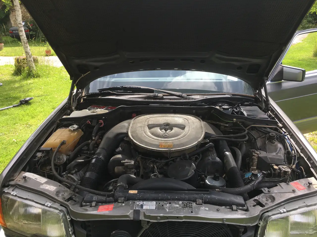 Mercedes-Benz S 560 SEL, foto 6