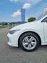 Volkswagen Golf 1.5 TSI Edition Plus 6 M. Blanco - thumbnail 17