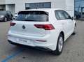 Volkswagen Golf 1.5 TSI Edition Plus 6 M. Blanco - thumbnail 13