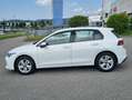 Volkswagen Golf 1.5 TSI Edition Plus 6 M. Blanco - thumbnail 3