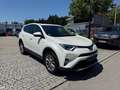 Toyota RAV 4 Edition - TÜV 12.2025. - AHK - Weiß - thumbnail 3