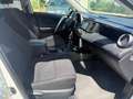 Toyota RAV 4 Edition - TÜV 12.2025. - AHK - Weiß - thumbnail 14