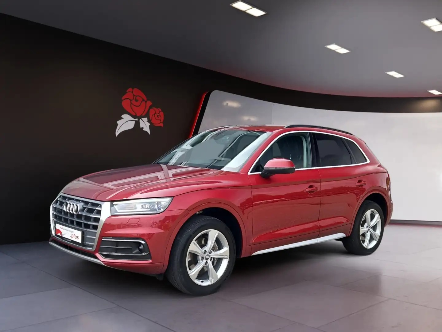 Audi Q5 40 TDI S-tronic quattro sport AHK Xenon Navi PDC Rood - 2