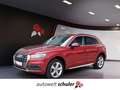 Audi Q5 40 TDI S-tronic quattro sport AHK Xenon Navi PDC Rot - thumbnail 1