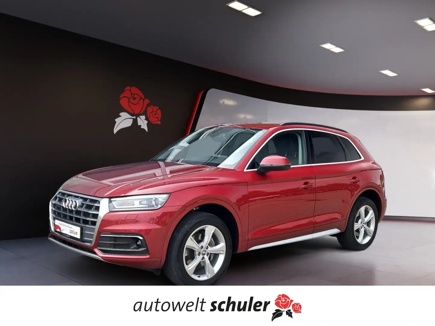 Audi Q5 40 TDI S-tronic quattro sport AHK Xenon Navi PDC Rot - 1
