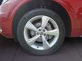 Audi Q5 40 TDI S-tronic quattro sport AHK Xenon Navi PDC Rood - thumbnail 7
