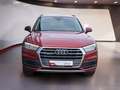 Audi Q5 40 TDI S-tronic quattro sport AHK Xenon Navi PDC Rood - thumbnail 6