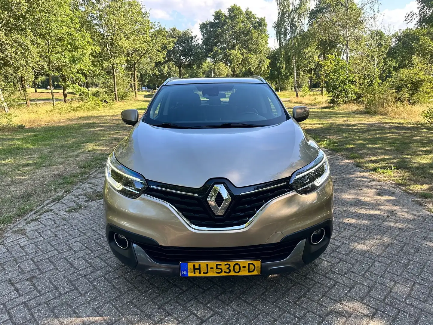 Renault Kadjar 1.2 TCe Intens Braun - 1