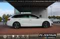 Skoda Octavia Combi 1.5 eTSI DSG Sportline NAVI LED RFK Weiß - thumbnail 9