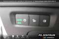 Skoda Octavia Combi 1.5 eTSI DSG Sportline NAVI LED RFK Weiß - thumbnail 28