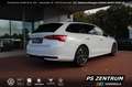 Skoda Octavia Combi 1.5 eTSI DSG Sportline NAVI LED RFK Weiß - thumbnail 8