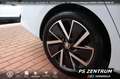 Skoda Octavia Combi 1.5 eTSI DSG Sportline NAVI LED RFK Weiß - thumbnail 12