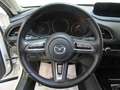 Mazda CX-30 2.0L Skyactiv-G M Hybrid 2WD Exceed White - thumbnail 10