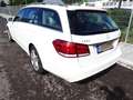 Mercedes-Benz E 250 BlueTec T Navi 2. Hand Reifen Bremsen NEU Weiß - thumbnail 4