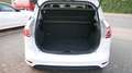 Ford B-Max SYNC Edition Weiß - thumbnail 13
