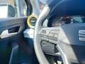 SEAT Arona 1.0 TSI S&S Style Special Edition 115 Gris - thumbnail 20