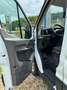 Ford Transit 350 L3 Trend Weiß - thumbnail 11