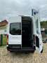 Ford Transit 350 L3 Trend Weiß - thumbnail 5