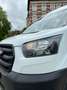 Ford Transit 350 L3 Trend Weiß - thumbnail 2
