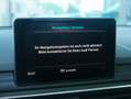 Audi A5 40 TDI sport *Xenon Plus -Frontkamera* Grau - thumbnail 17