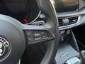 Alfa Romeo Stelvio Super PREZZO REALE NESSUN OBBLIGO DI FINANZIAMENTO Rosso - thumbnail 13