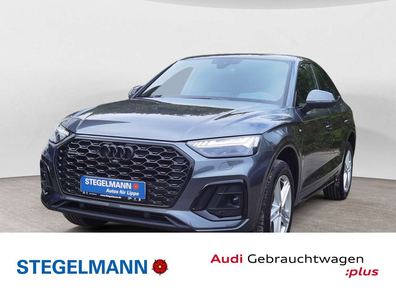 Audi Q5 — Audi Q5 40 TDI qu. S-tronic S-Line *Pano*AH