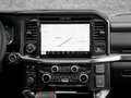 Ford F 150 2025 Raptor € 91500 +801A RAPTOR® HIGH Schwarz - thumbnail 14