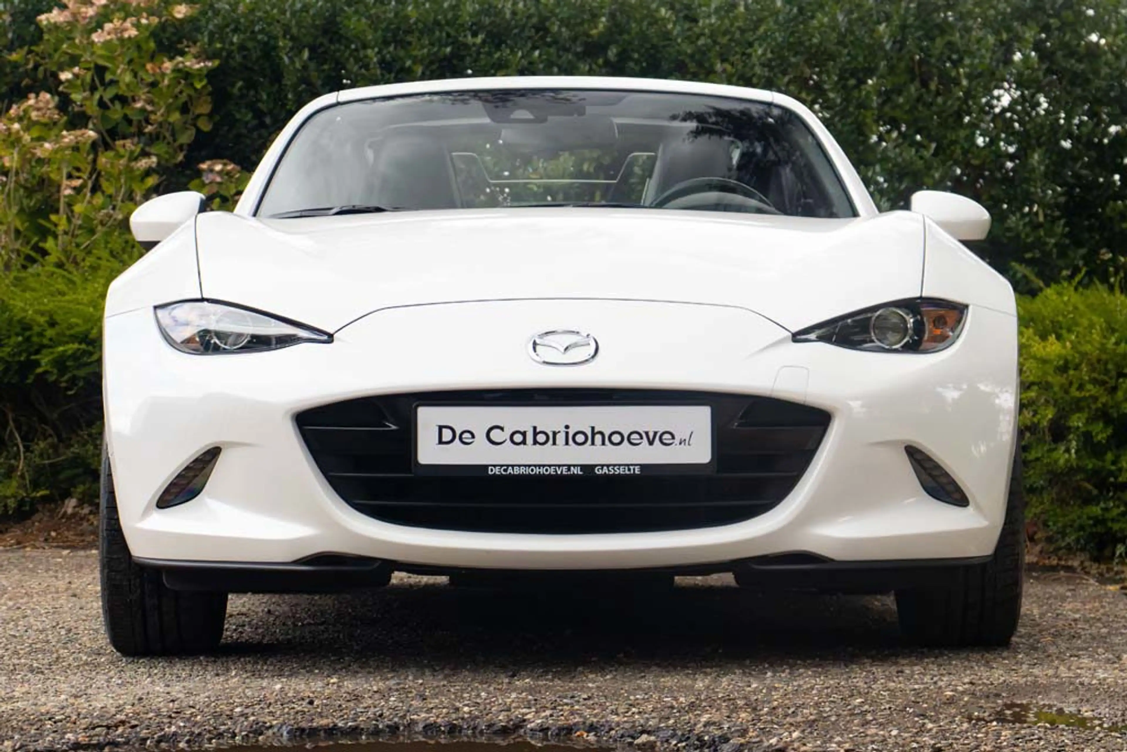 Mazda MX-5 RF NDRF 2.0l SkyActiv-G 184 GT-M Snowflake White P — photo 10