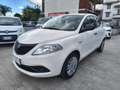 Lancia Ypsilon 1.2 69 CV 5p. S&S Elefantino Blu Bianco - thumbnail 3