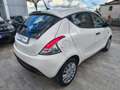 Lancia Ypsilon 1.2 69 CV 5p. S&S Elefantino Blu Bianco - thumbnail 6