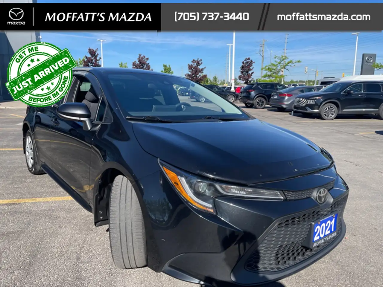 Toyota Corolla fotografie Toyota Corolla