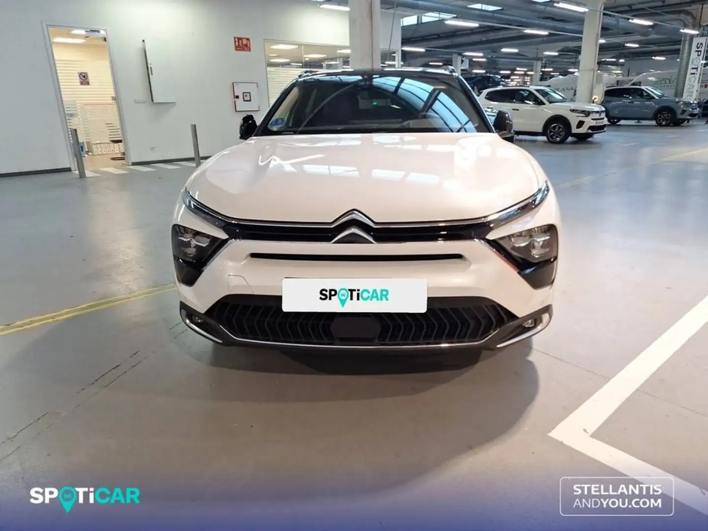Citroen C5 X Hybrid Shine EAT8 225 Blanc - 2