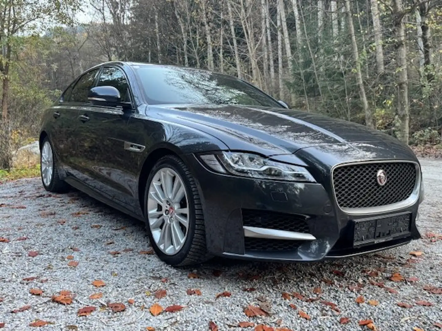 Jaguar XF XF 20d AWD R-Sport Aut. R-Sport Grau - 1