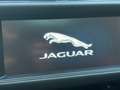 Jaguar XF XF 20d AWD R-Sport Aut. R-Sport Grau - thumbnail 19