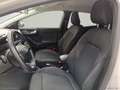 Ford Puma 1.0 EcoBoost 125CV S&S Titanium Beige - thumbnail 13