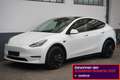 Tesla Model Y Performance *AHK*1.Hand* Weiß - thumbnail 1