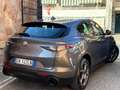 Alfa Romeo Stelvio 2.2 Turbodiesel 160 CV AT8 RWD Competizione Gris - thumbnail 13