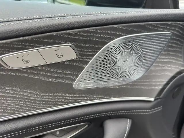 Mercedes-Benz AMG GT 53 4Matic+ Sonderedition Ansicht 16