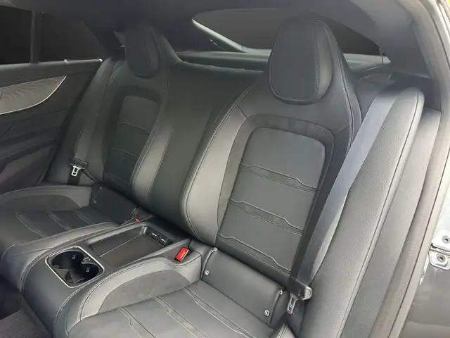 Mercedes-Benz AMG GT 53 4Matic+ Sonderedition Ansicht 9