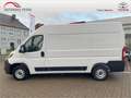 Toyota Proace MaxL2H2 Work Weiß - thumbnail 4